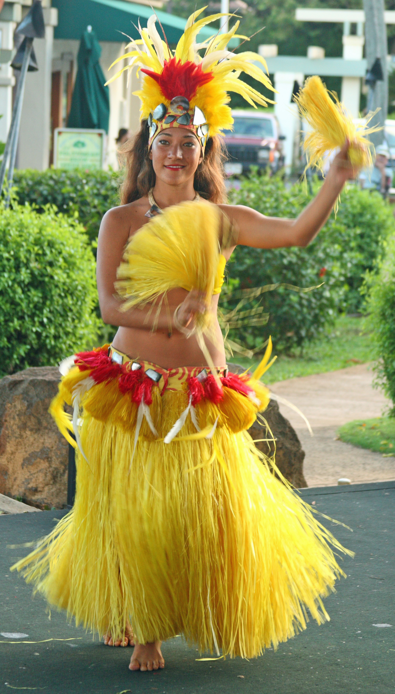 Hula Dancers