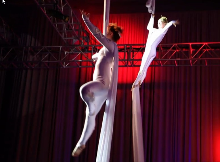 Aerialist