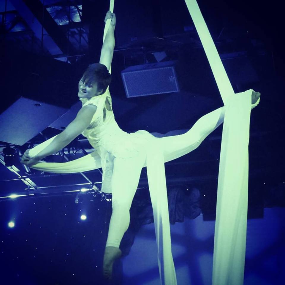 Aerialist Silks or Lyra