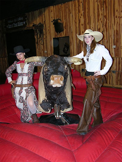 Mechanical Bull