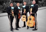 Mariachi Contemporary